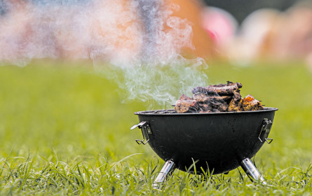 Billigfleisch am Grill