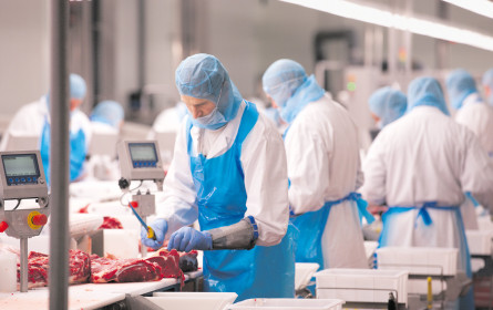 Unternehmer rittern um weniger Bewerber