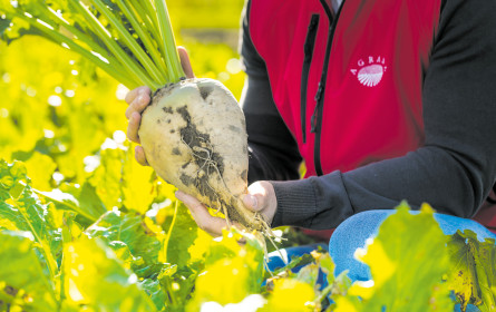 Schulterschluss für Transparenz