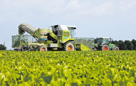 „Die Pandemie hat das Essverhalten verändert”