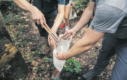 Almdudler putzt die Berge