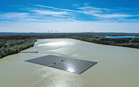 Einst belächelt und jetzt heiß begehrt