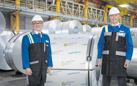 Silberne Coils in Grün