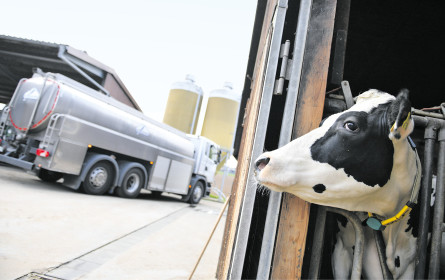 „Wir haben den höchsten Bioanteil in der EU”