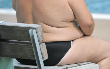 Übergewicht belastet Volkswirtschaft enorm