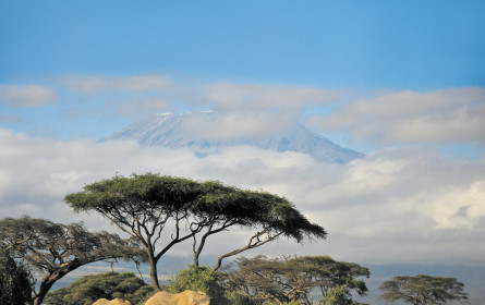 Mehr als Strand, Safari und Nationalpark