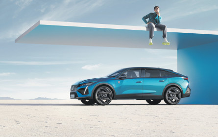 Der dynamische Fastback