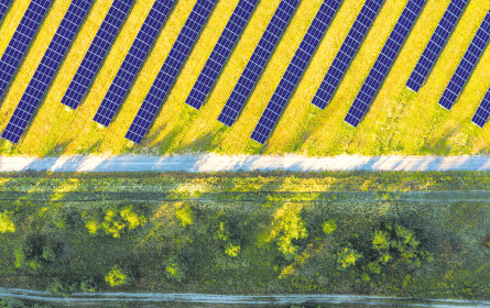 Auch bei Nachhaltigkeit gilt das Motto „No Bullshit”