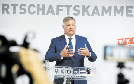 Migrantischer Wirtschaftsfaktor