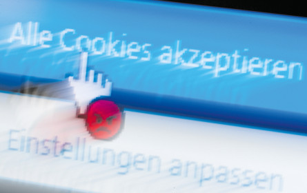 Haben’ schon gewählt? Mit oder ohne Cookies?