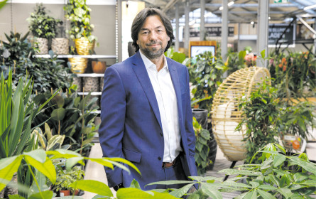 Topfpflanzen auf großer Fahrt