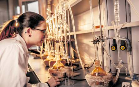 Digitalisierung trifft auf Gewürzhandel