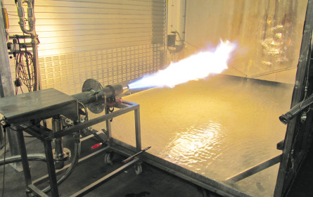 Manche mögen’s heiß