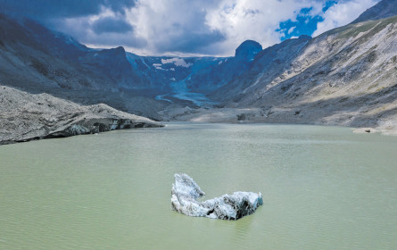 Radikale Anpassung an die neue Normalität