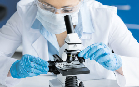 Förderung für neuen Hub