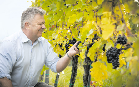 Der starke Dollar sorgt für Troubles