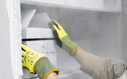 Neue Impfstoffe gegen Virus-Mutationen