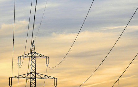 Goldene Nase vom Strom