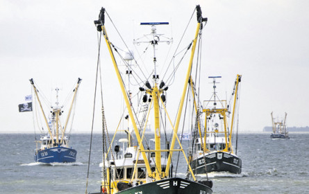 MSC: 25 Jahre zertifizierte Nachhaltigkeit