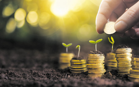 Neue Anlegerpräferenzen