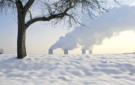 Das Wachstumsklima wird zunehmend frischer