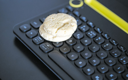 Die Suche nach Alternativen