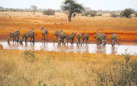 Exotische Destinationen liegen voll im Trend