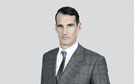 Demokratie in der MaFo 