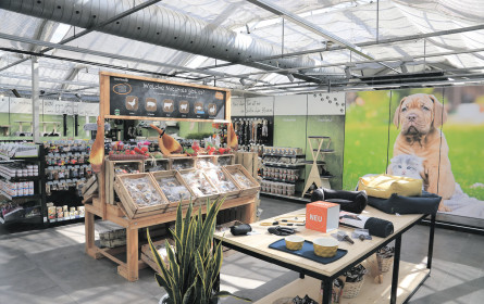 bellaflora hat Flora und Fauna im Blick