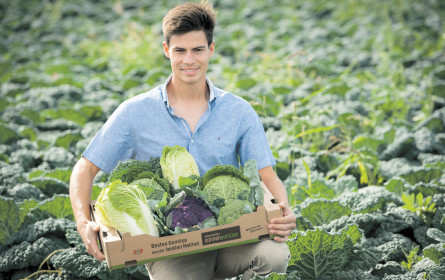 Saisonal, regional und kurze Wege