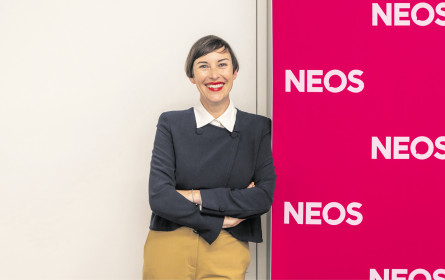 „Die Politik ist hier ein großer Teil des Problems”