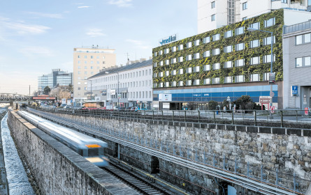 Grünes Paradebeispiel