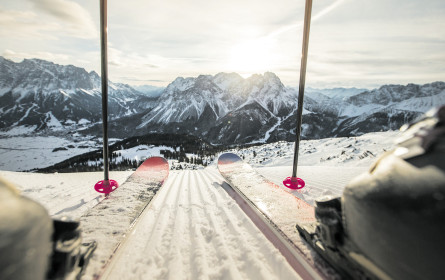 Hoffnung auf ein Comeback