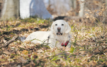 Verbunden auf dem letzten Weg