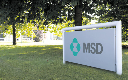 MSD wächst im Digitalsektor