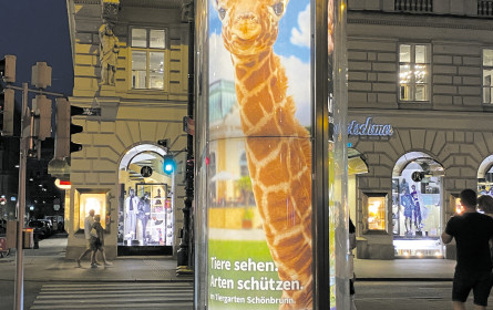 Digital-out-of-Home: Branche im Wandel