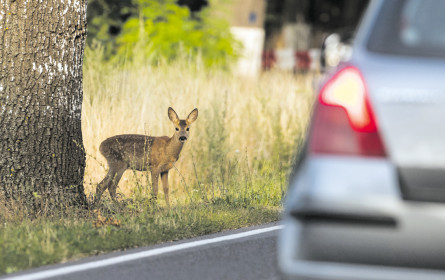 Mehr Verkehrssicherheit