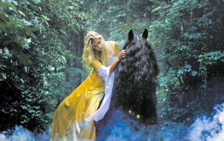 Pferde-Gala in Ebreichsdorf