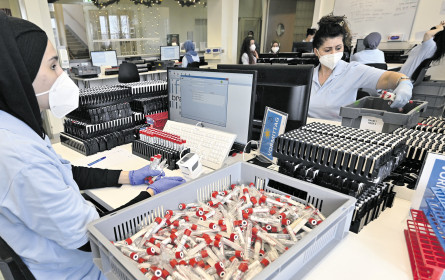 Die Probleme mit den Selbsttests