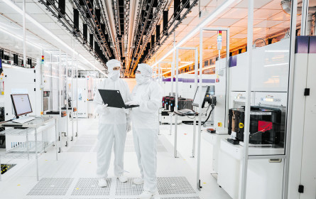 Das Verlangen nach Chips