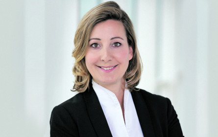 Aufsteiger bei horizont