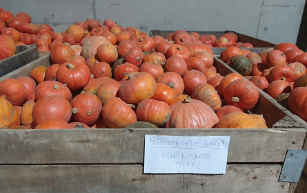 Wiener Tafel fordert Verbesserungen für Lebensmittelweitergabe