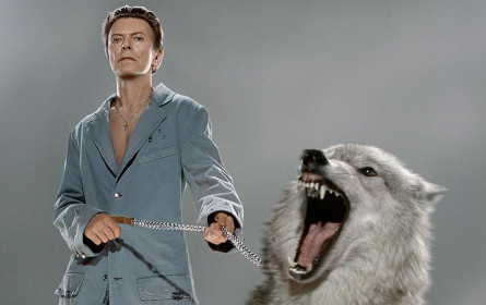 New und exklusiv bei Preiss Fine Arts