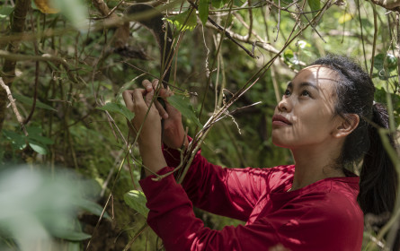 30 Jahre Fairtrade in Österreich: Gemeinsam fair
