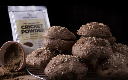 Neue EU-Regelung tritt in Kraft: Grillen als Lebensmittel erlaubt