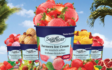 Fünf köstliche Eissorten zum Dahinschmelzen