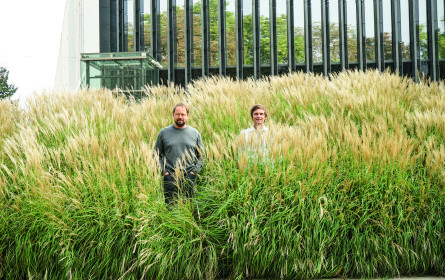 CCA x Gruppe am Park