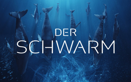 Serviceplan entwickelt 360°-Kampagne für "Der Schwarm“