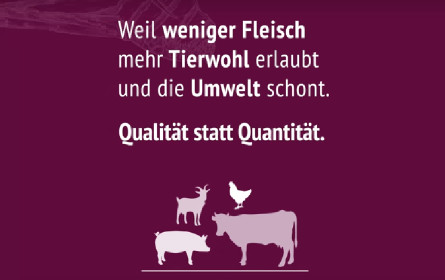 f.eh-Kampagnen erreichten kumuliert 10,5 Millionen Menschen