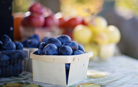 BÖLW-Bilanz 2022: Verbraucher setzen auf Bio